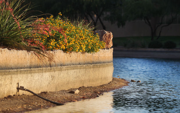 Sahuarita Lake repair costs